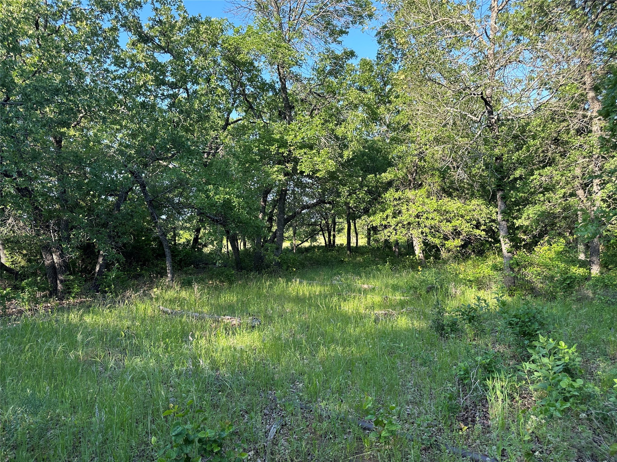 Tbd County Road 1895 Sunset TX 76270