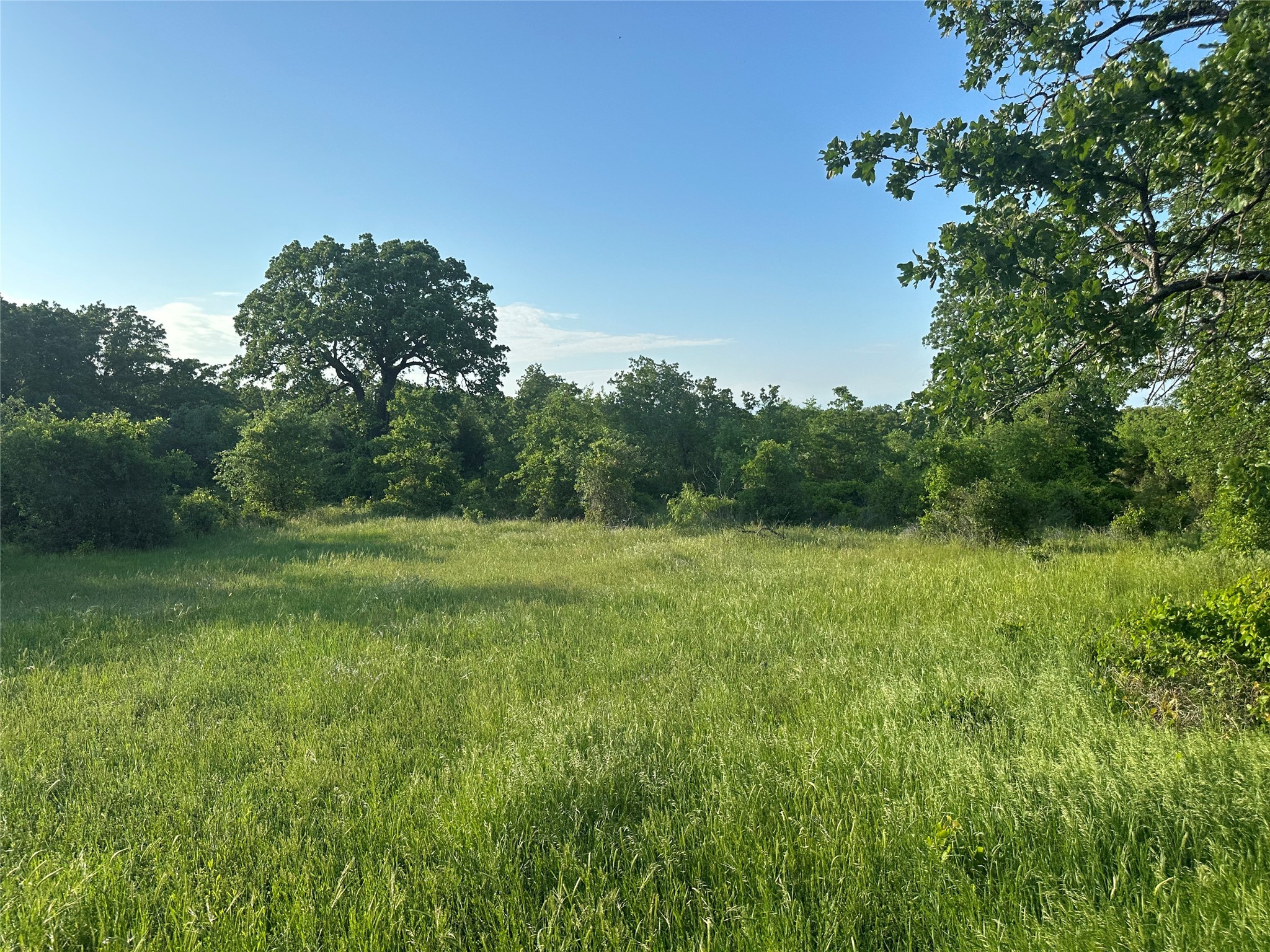 Tbd County Road 1895 Sunset TX 76270