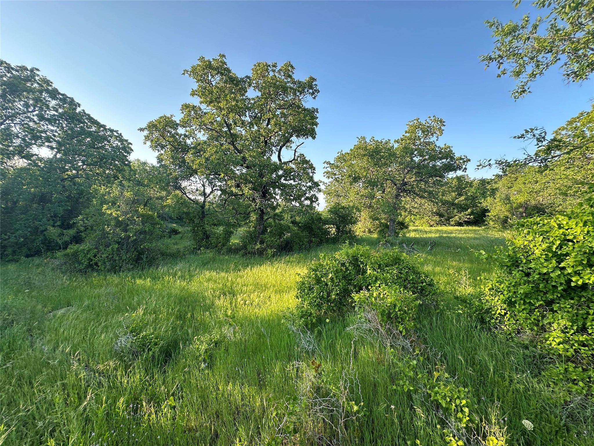 Tbd County Road 1895 Sunset TX 76270