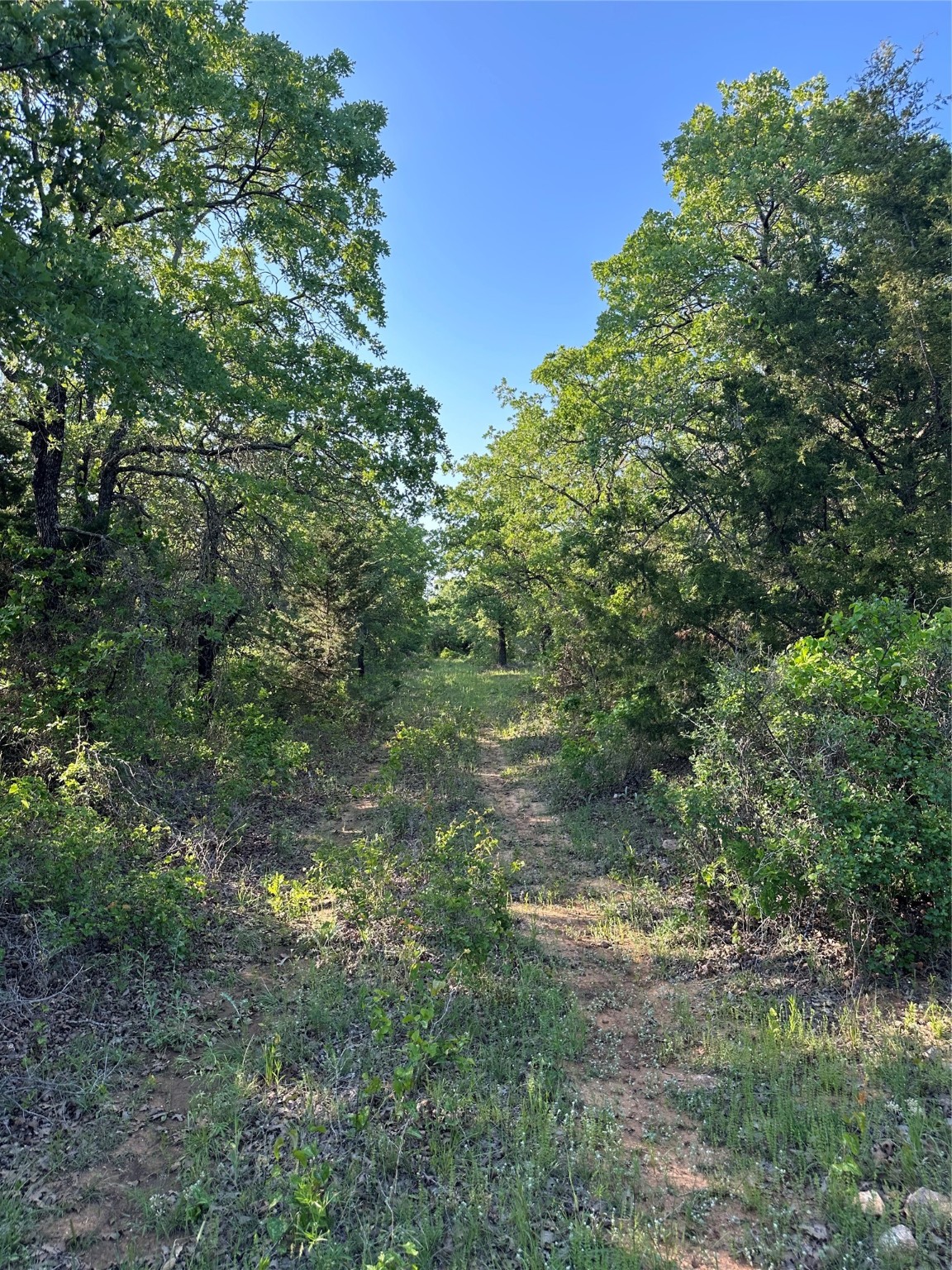 Tbd County Road 1895 Sunset TX 76270