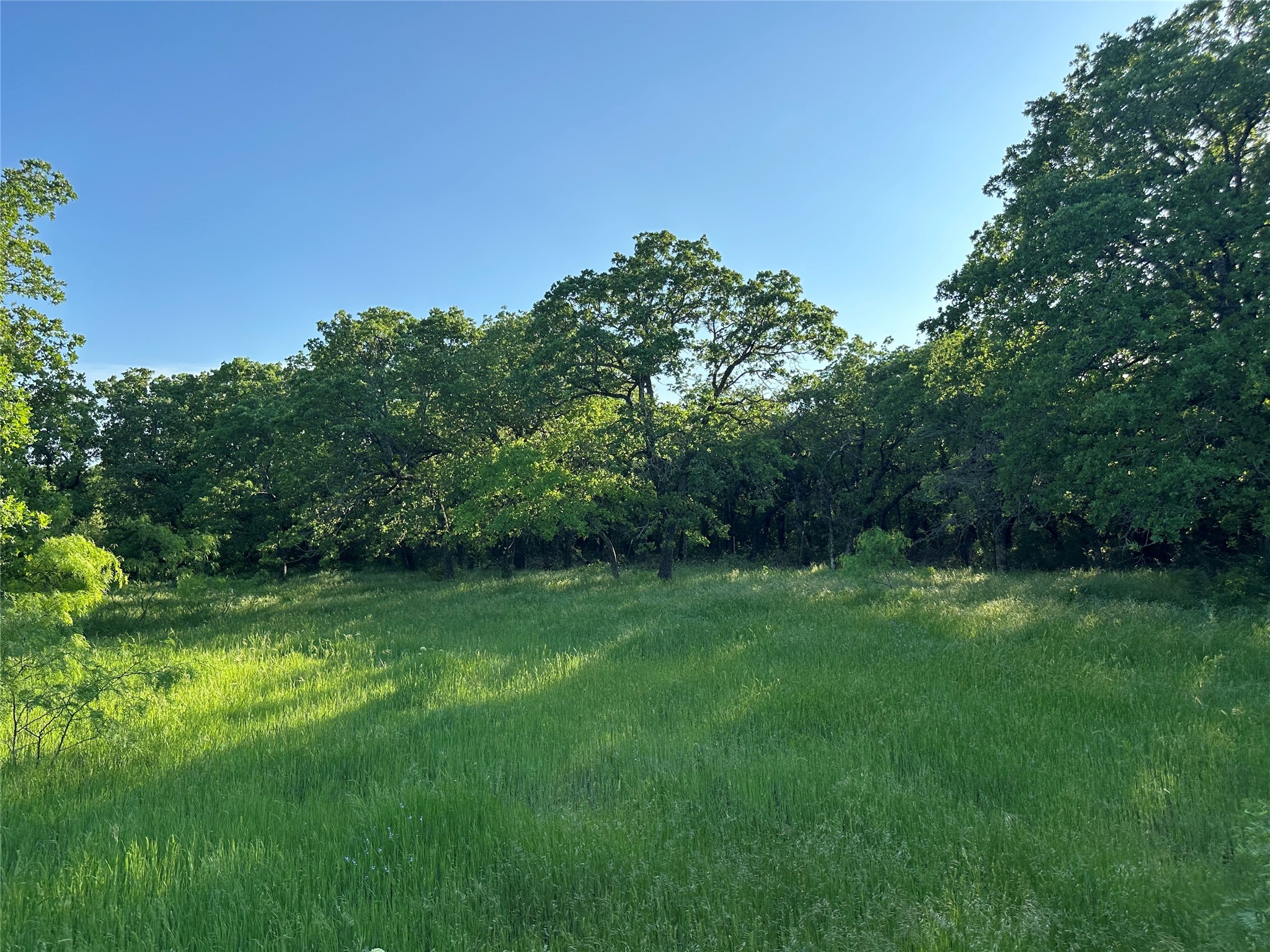 Tbd County Road 1895 Sunset TX 76270