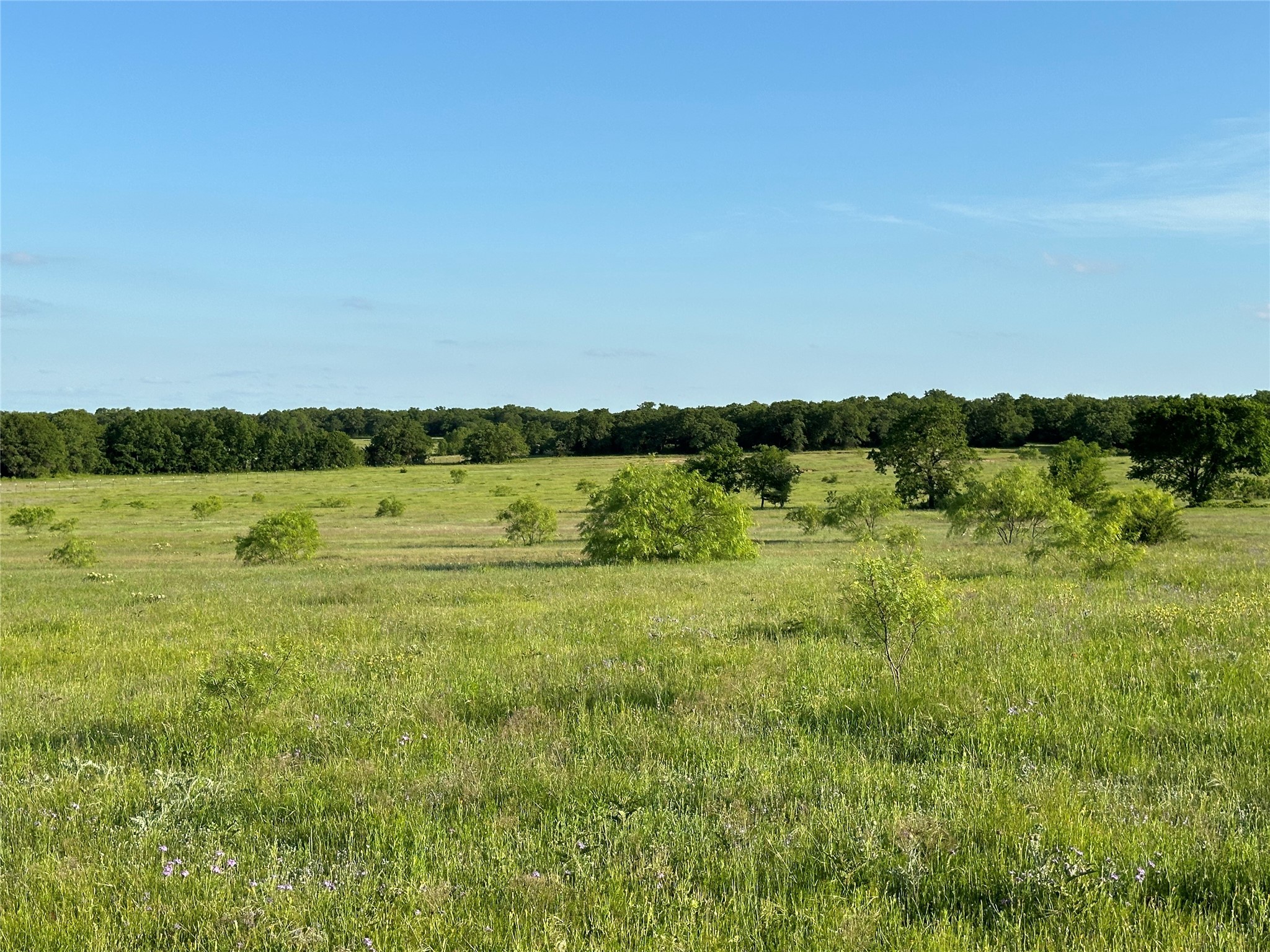 Tbd County Road 1895 Sunset TX 76270