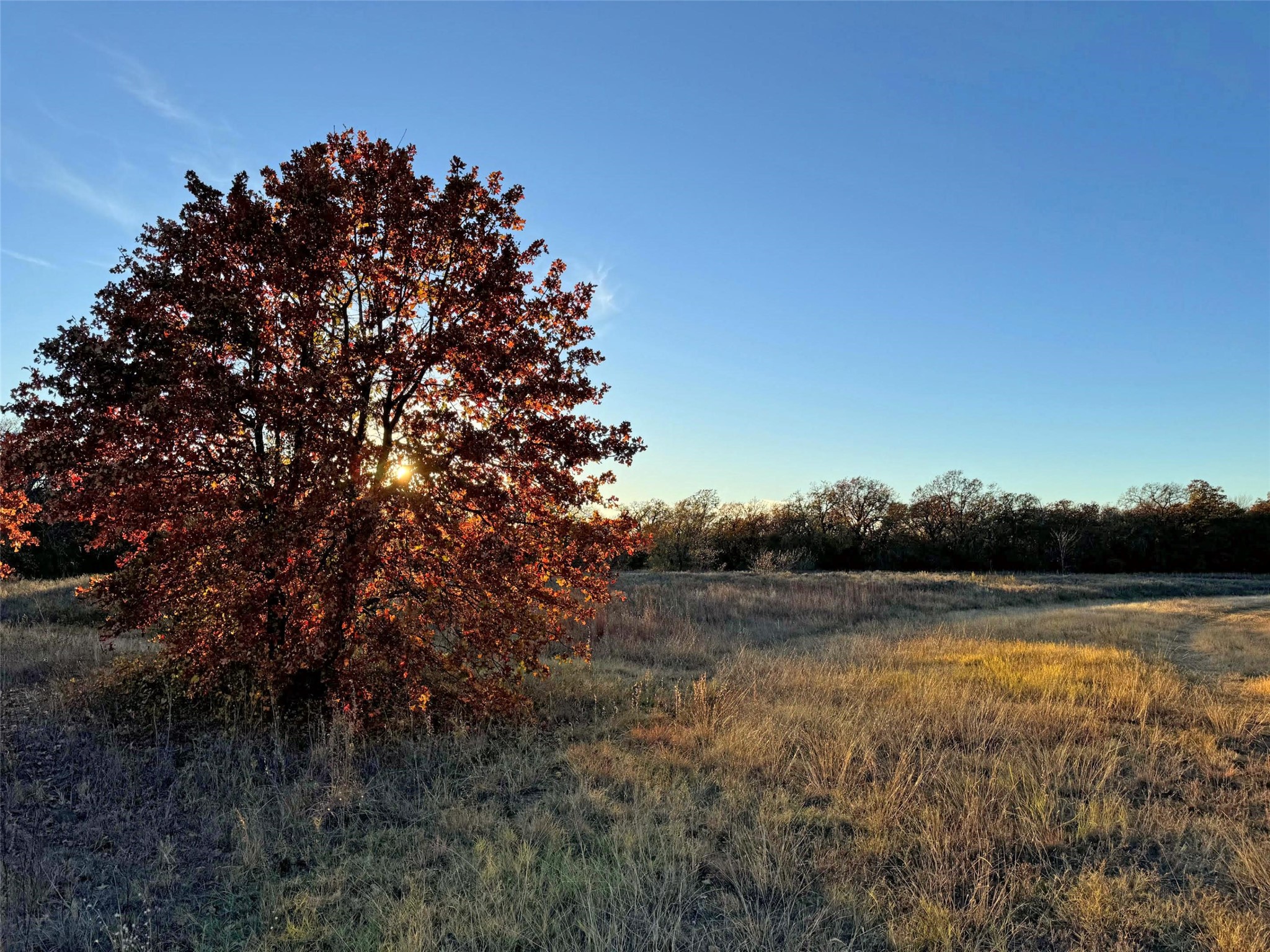 1130 Redbird Grove Road Argyle TX 76226