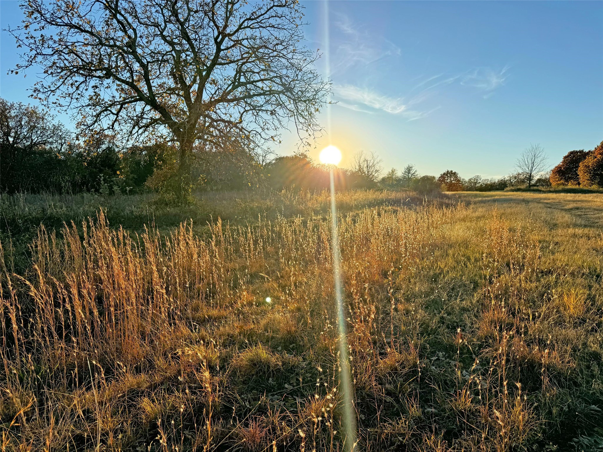 1130 Redbird Grove Road Argyle TX 76226