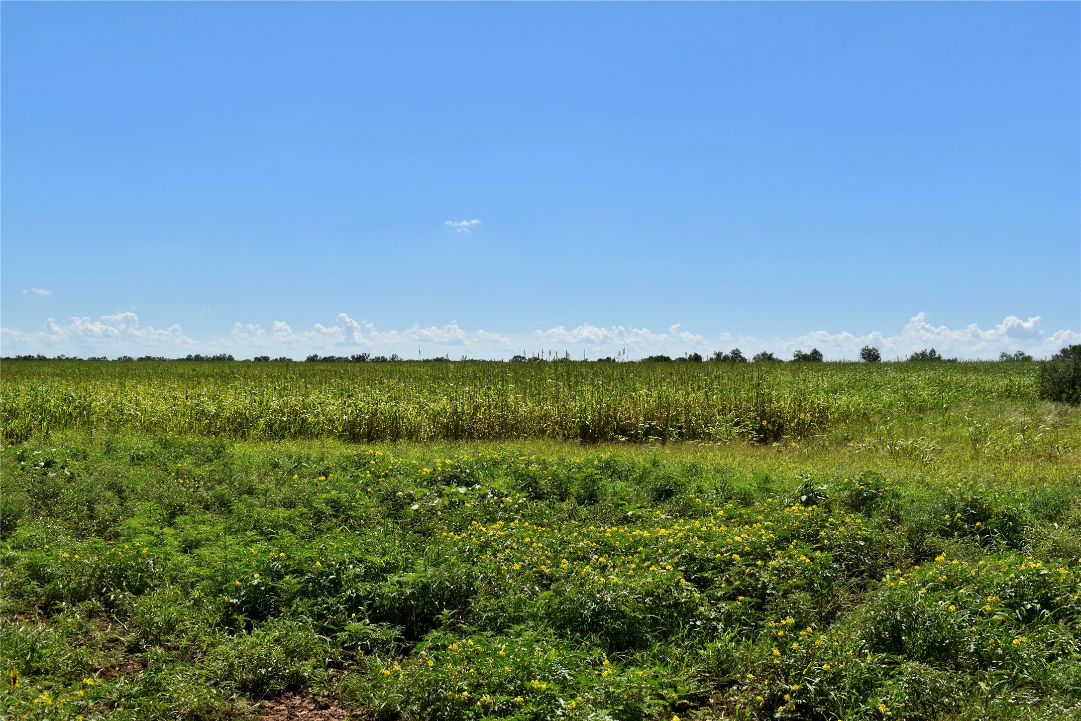 3255 Cr 340 Lohn TX 76852