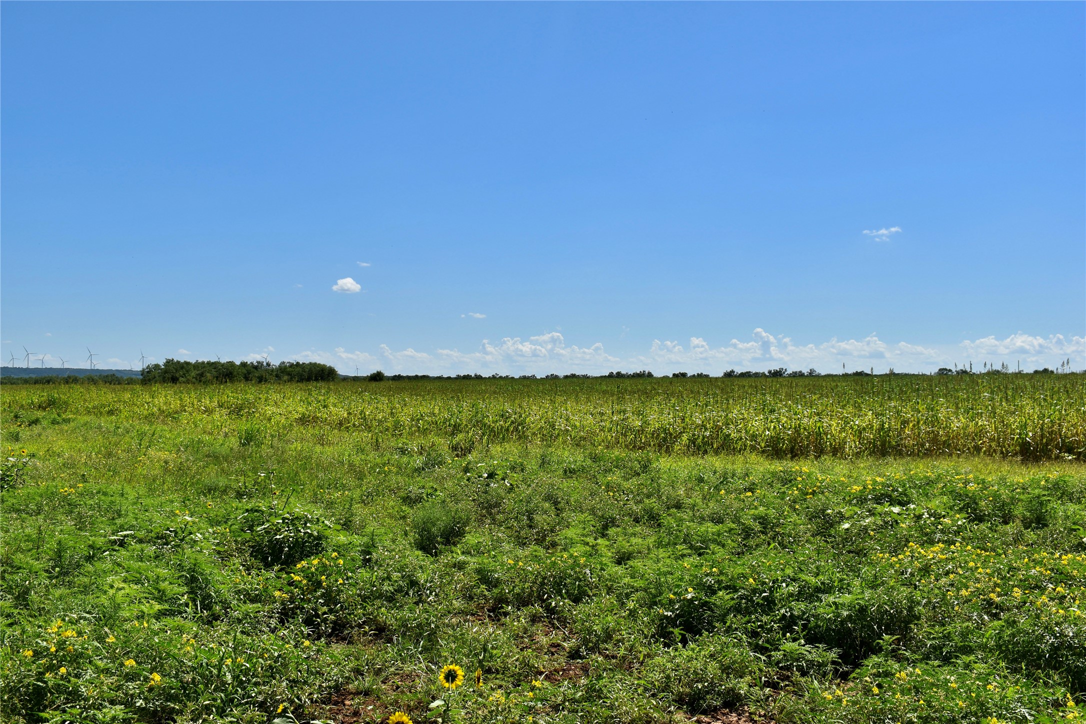 3255 Cr 340 Lohn TX 76852