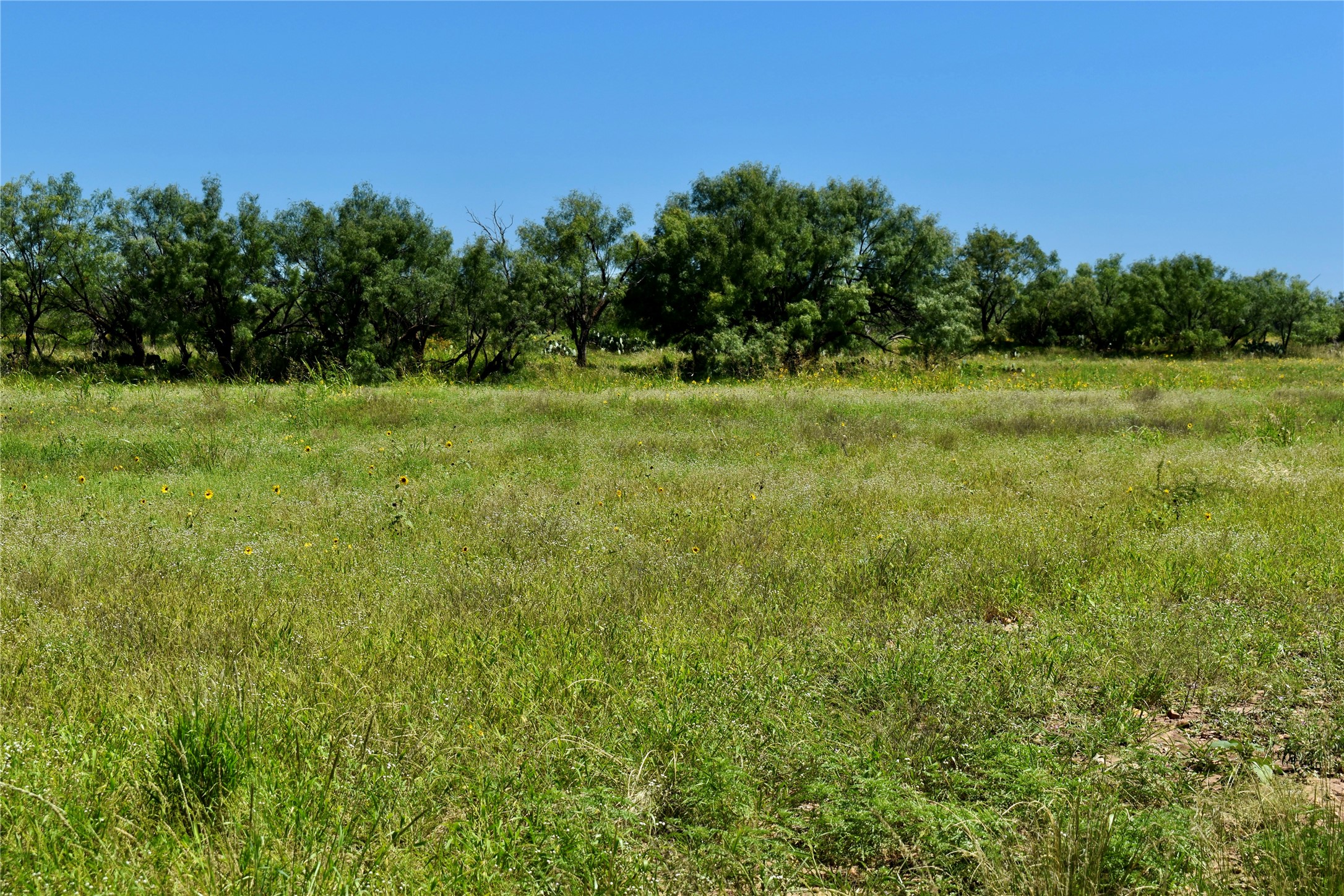 3255 Cr 340 Lohn TX 76852