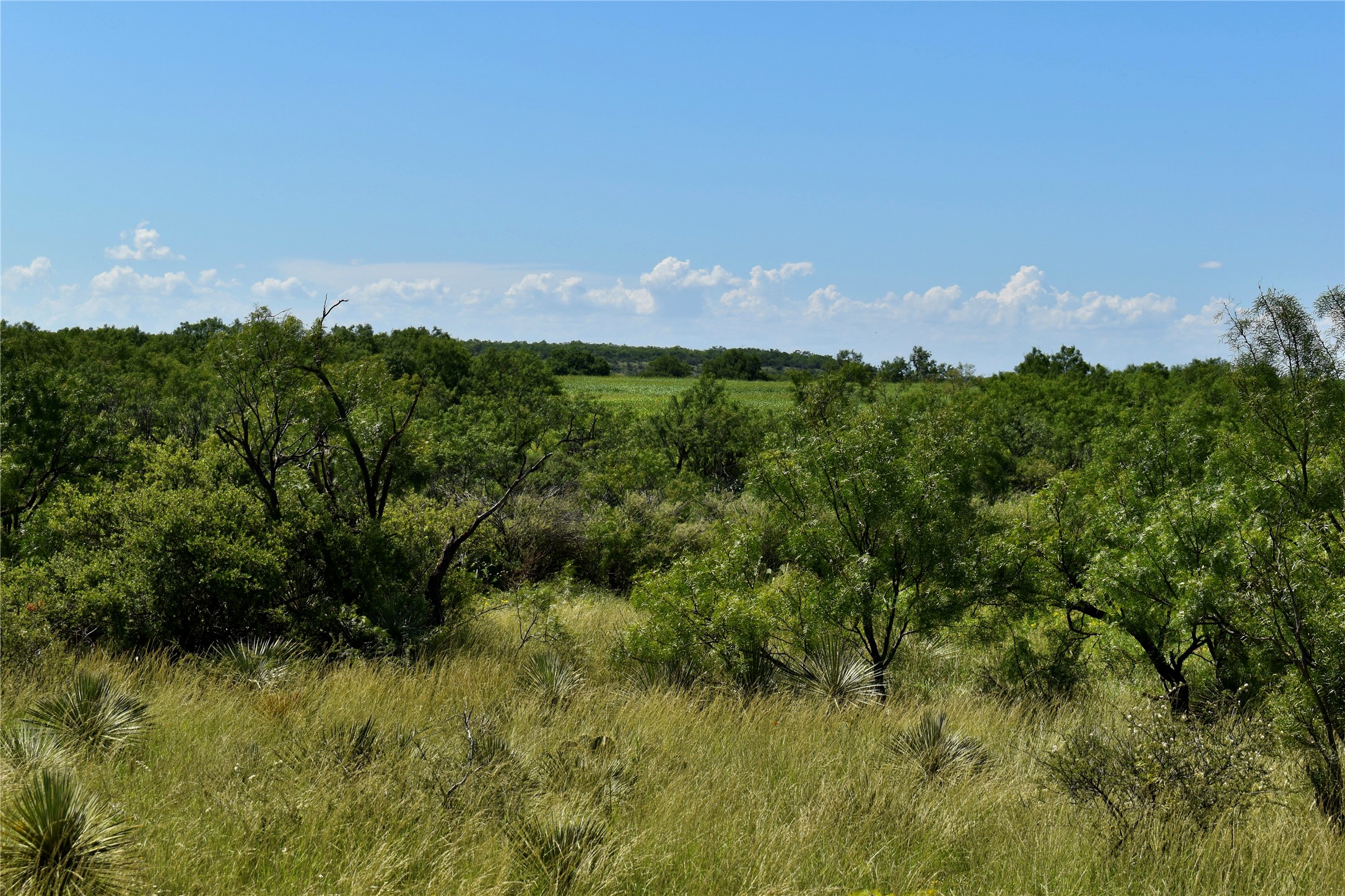 3255 Cr 340 Lohn TX 76852