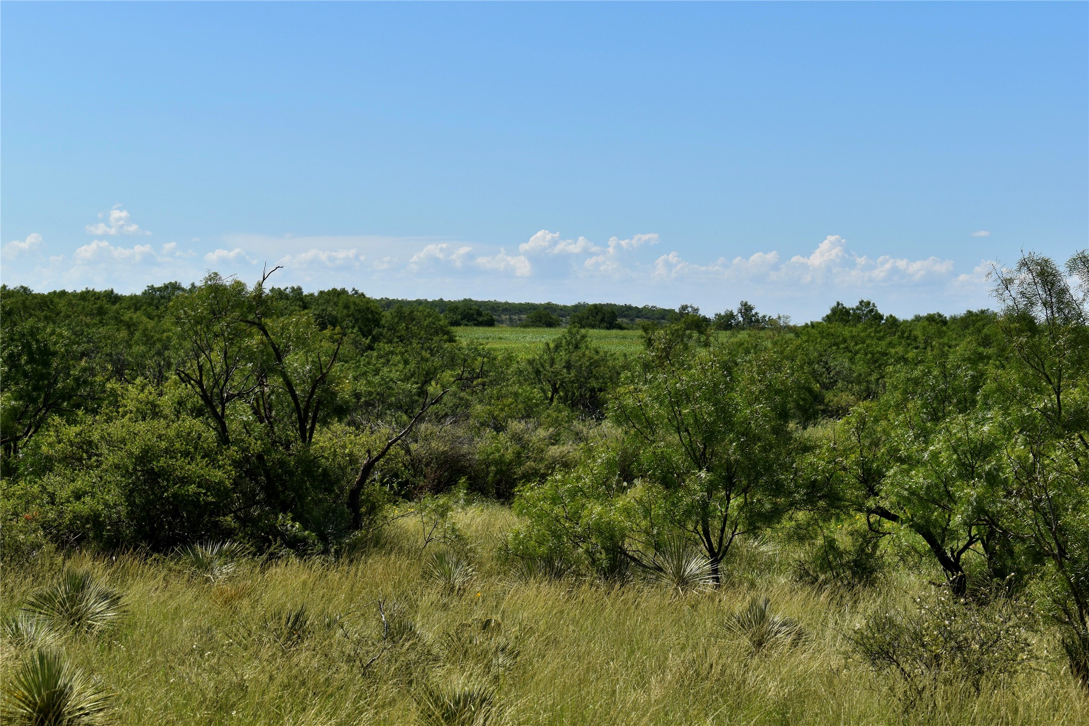3255 Cr 340 Lohn TX 76852