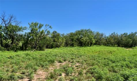 3255 Cr 340 Lohn TX 76852