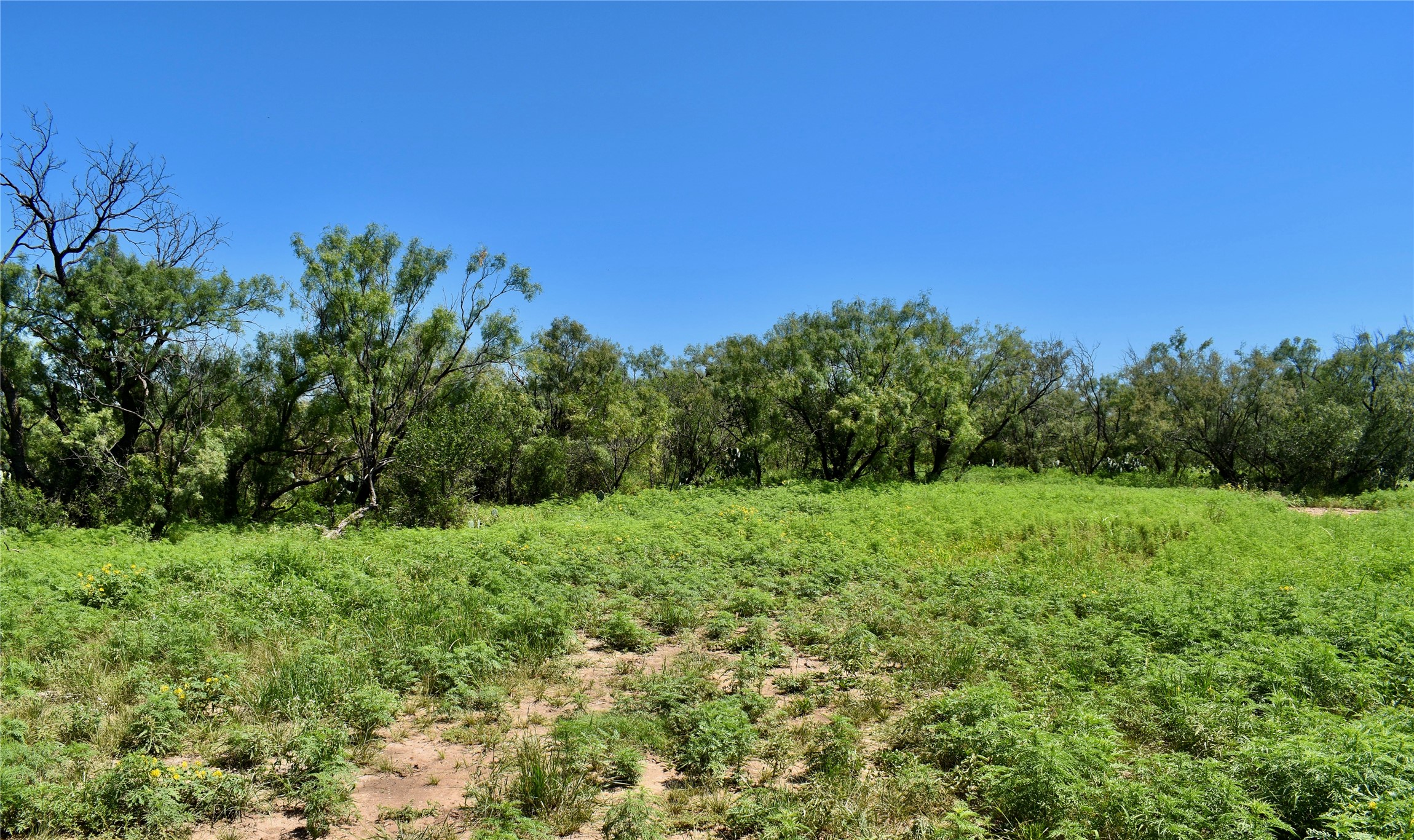 3255 Cr 340 Lohn TX 76852