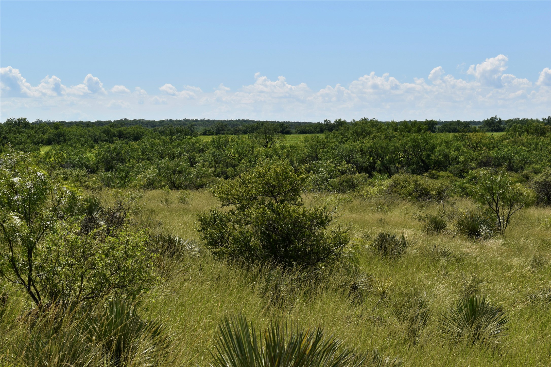 3255 Cr 340 Lohn TX 76852