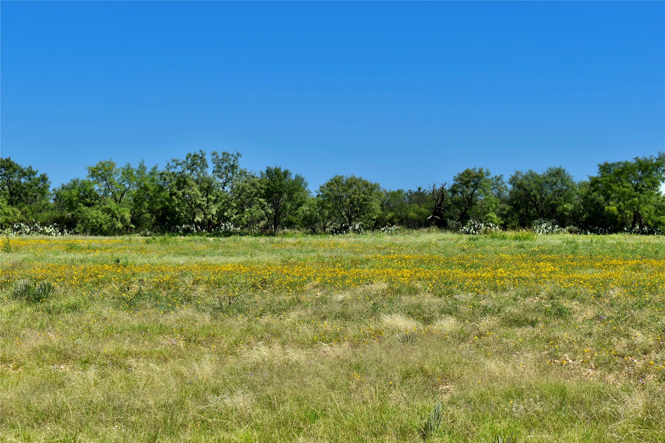 3255 Cr 340 Lohn TX 76852