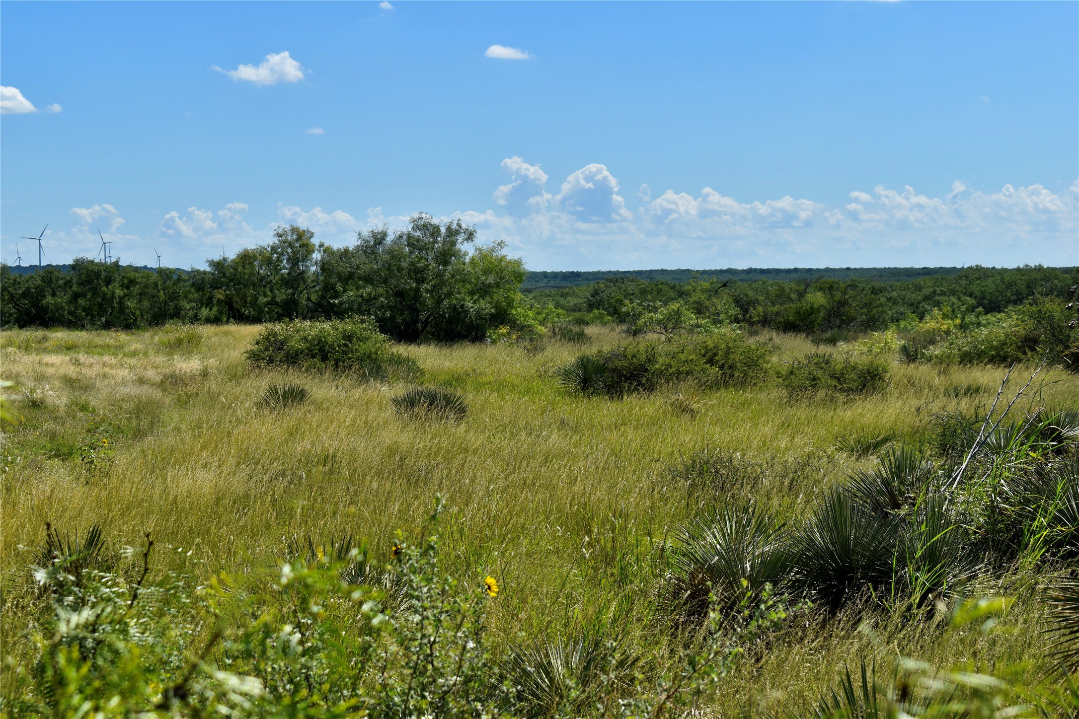 3255 Cr 340 Lohn TX 76852