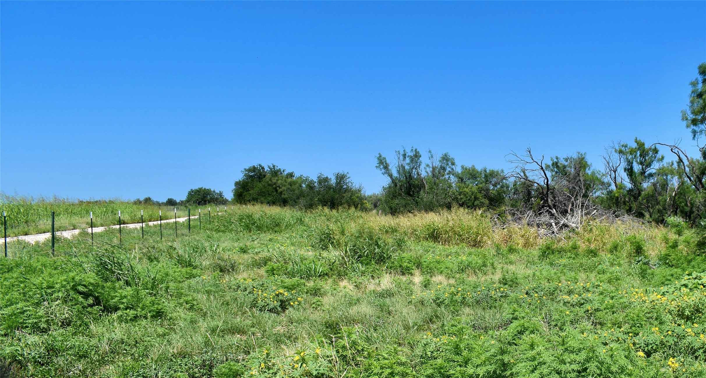 3255 Cr 340 Lohn TX 76852