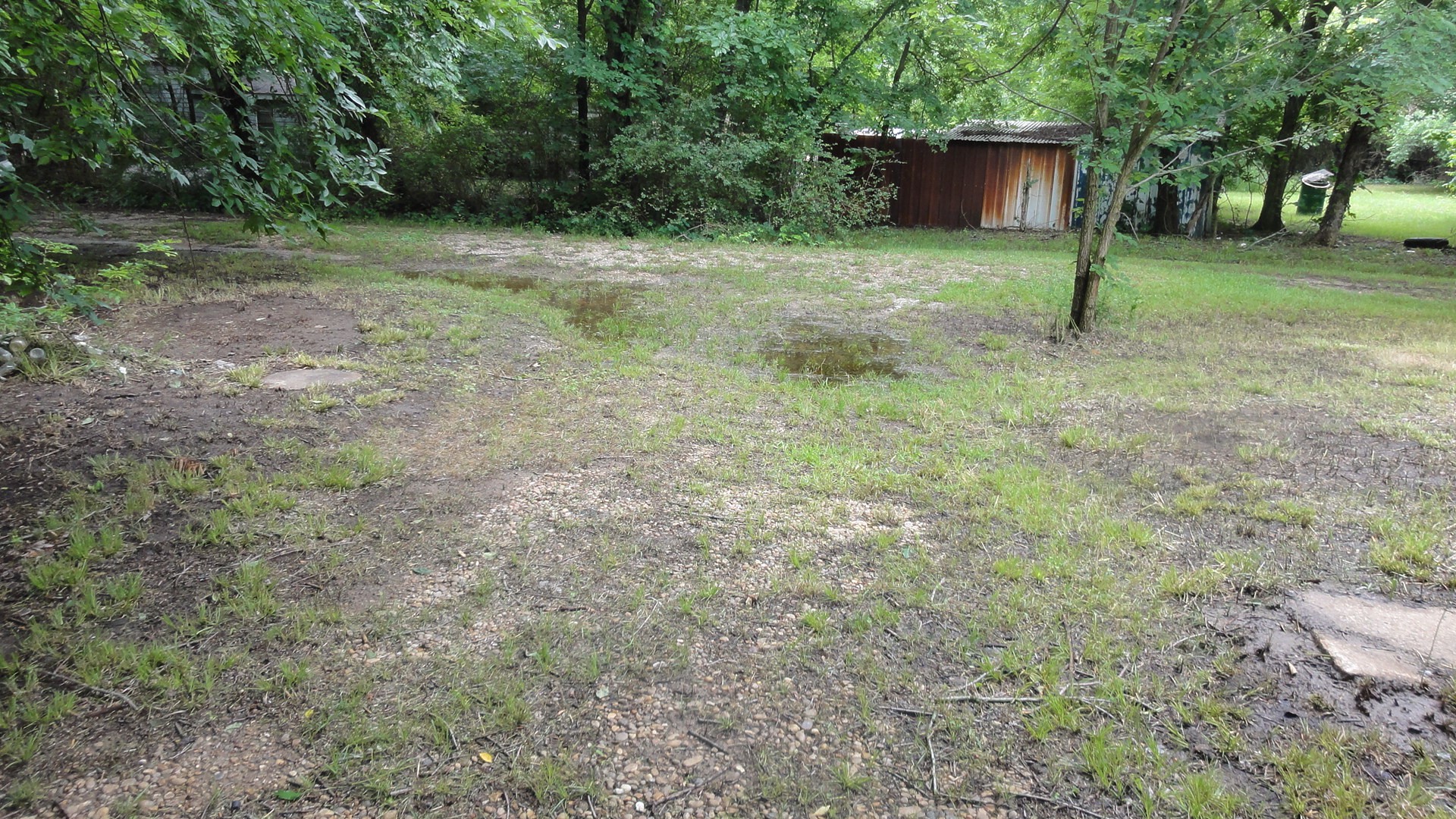 303 W College Street Trenton TX 75490