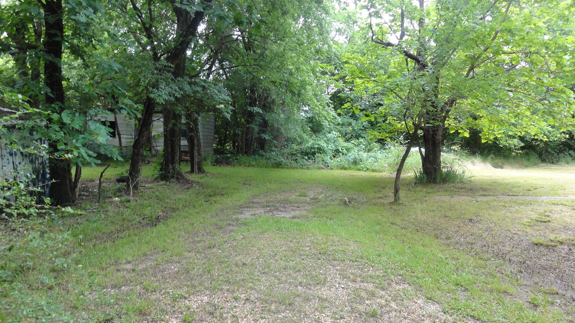 303 W College Street Trenton TX 75490