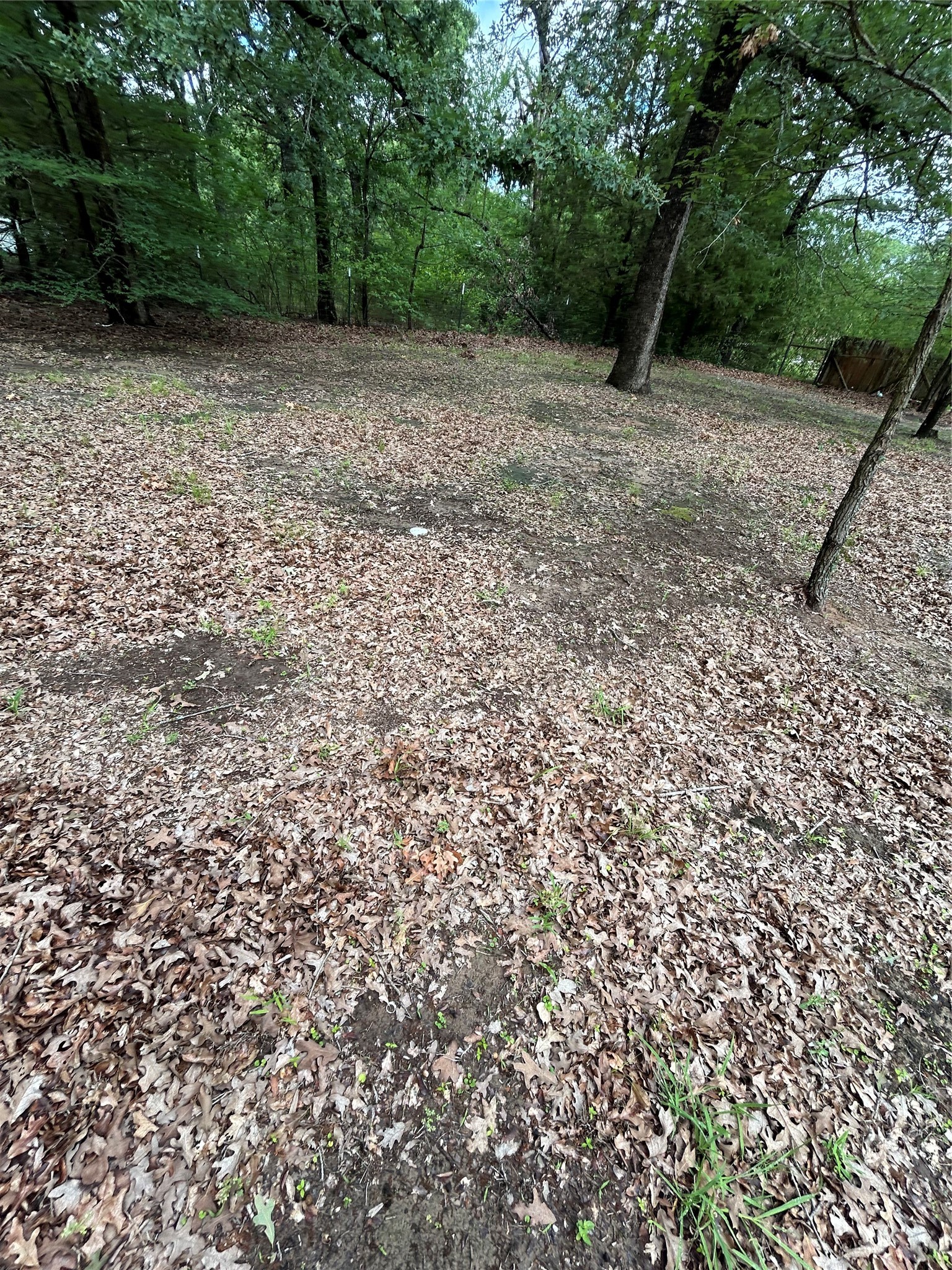 11115 Cedar Drive Mabank TX 75156