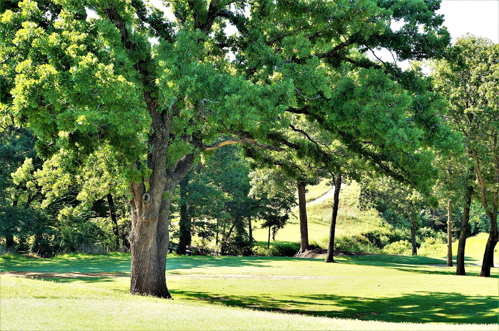 Lot 17c Windrose Loop Gordonville TX 76245
