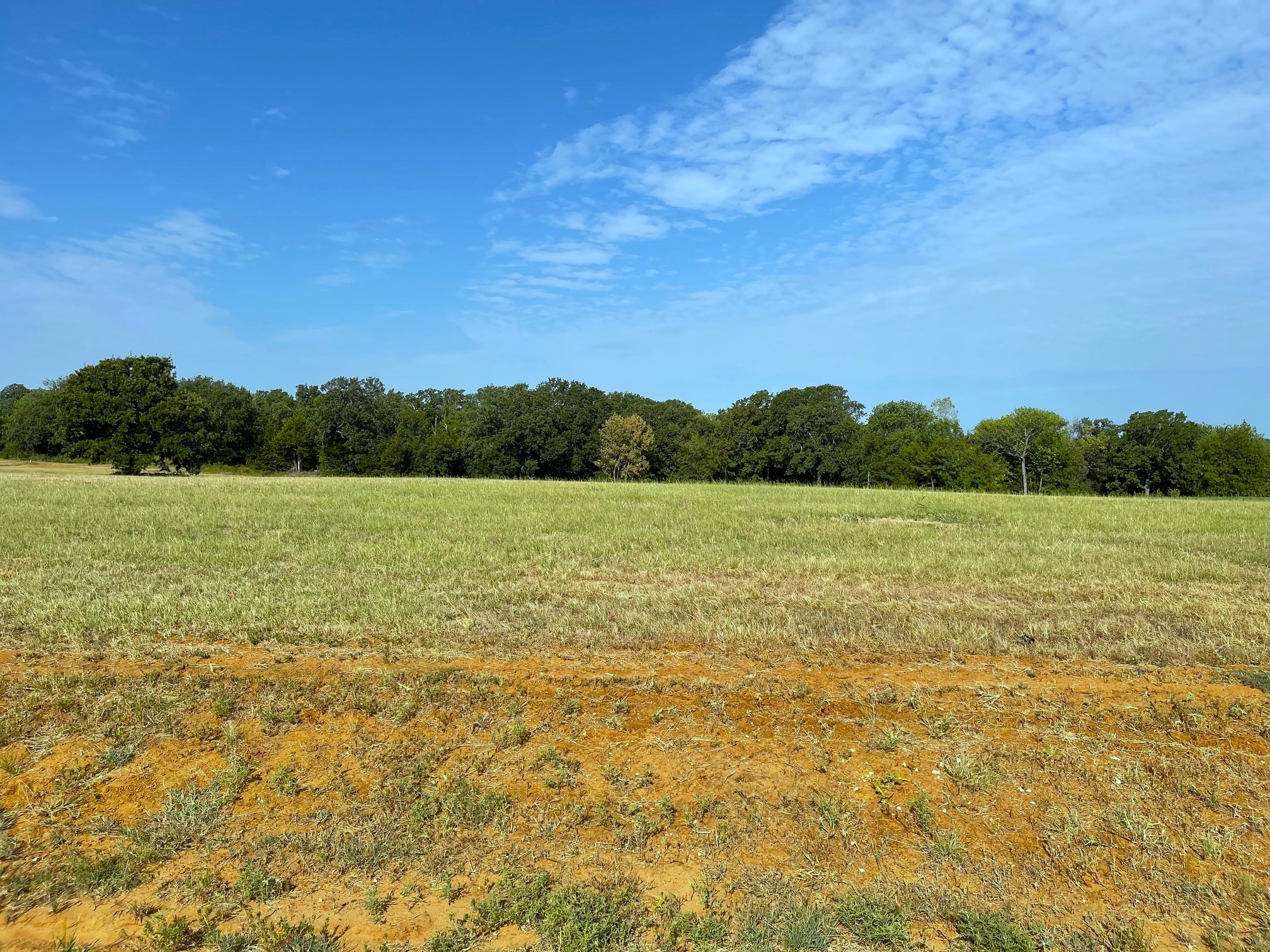 Lot 17c Windrose Loop Gordonville TX 76245