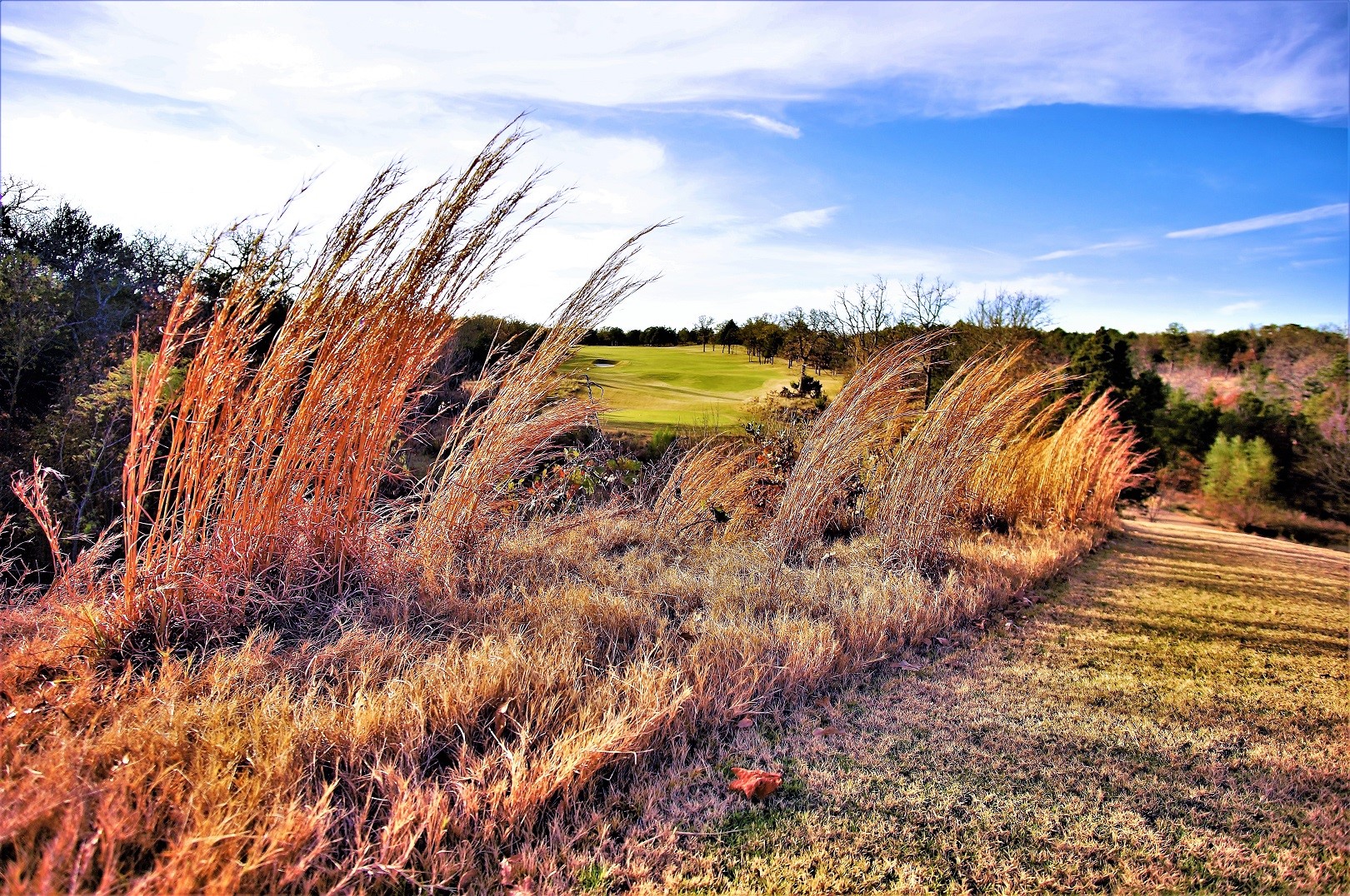 Lot 17c Windrose Loop Gordonville TX 76245
