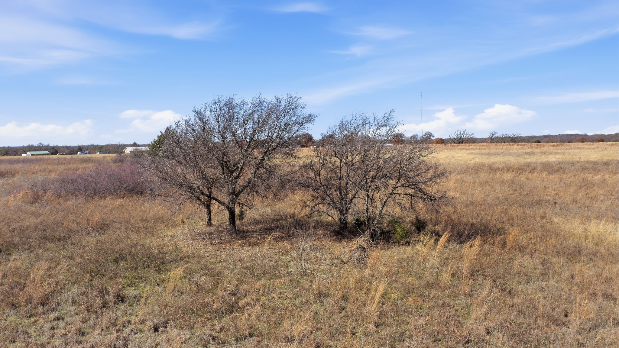 Tbd Highway 81 Alvord TX 76225