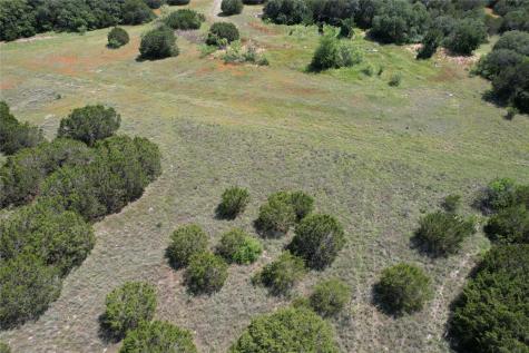 103 Livingston Court Weatherford TX 76087