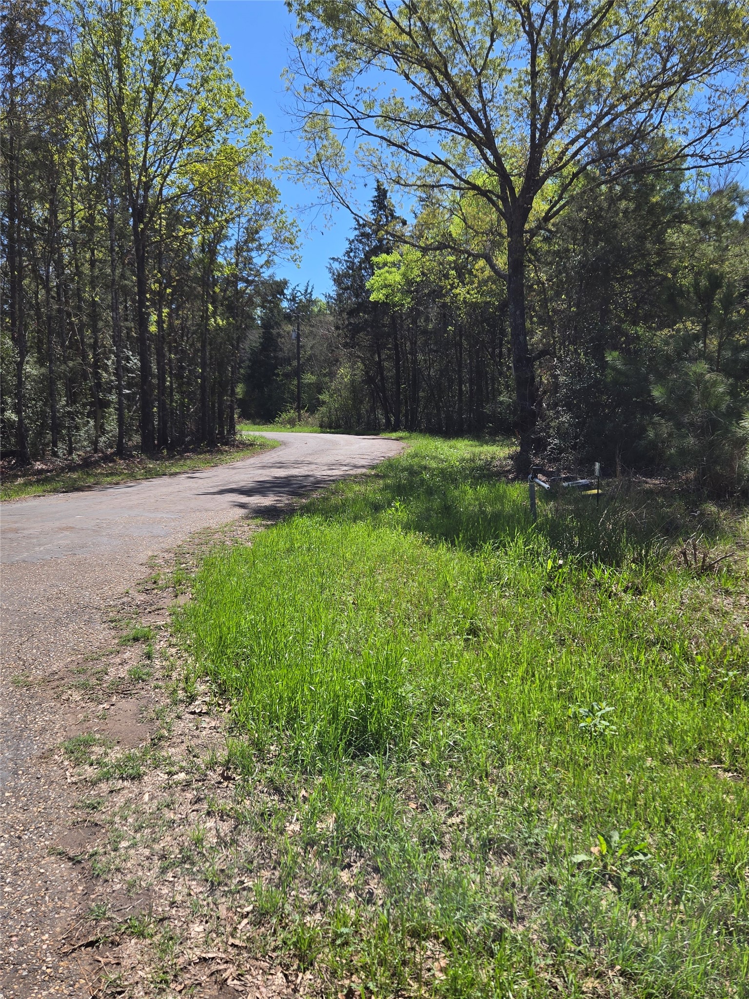 106 County Road 439 Joaquin TX 75954