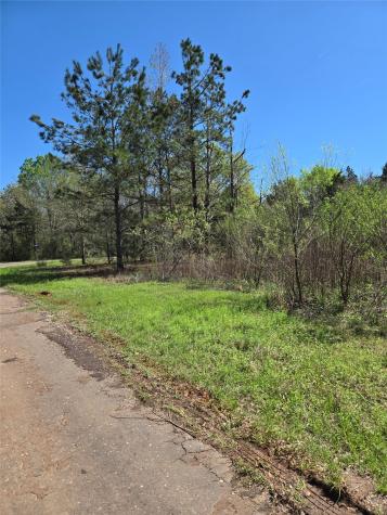 106 County Road 439 Joaquin TX 75954