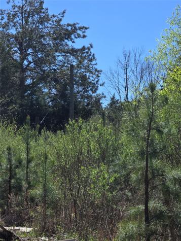 106 County Road 439 Joaquin TX 75954