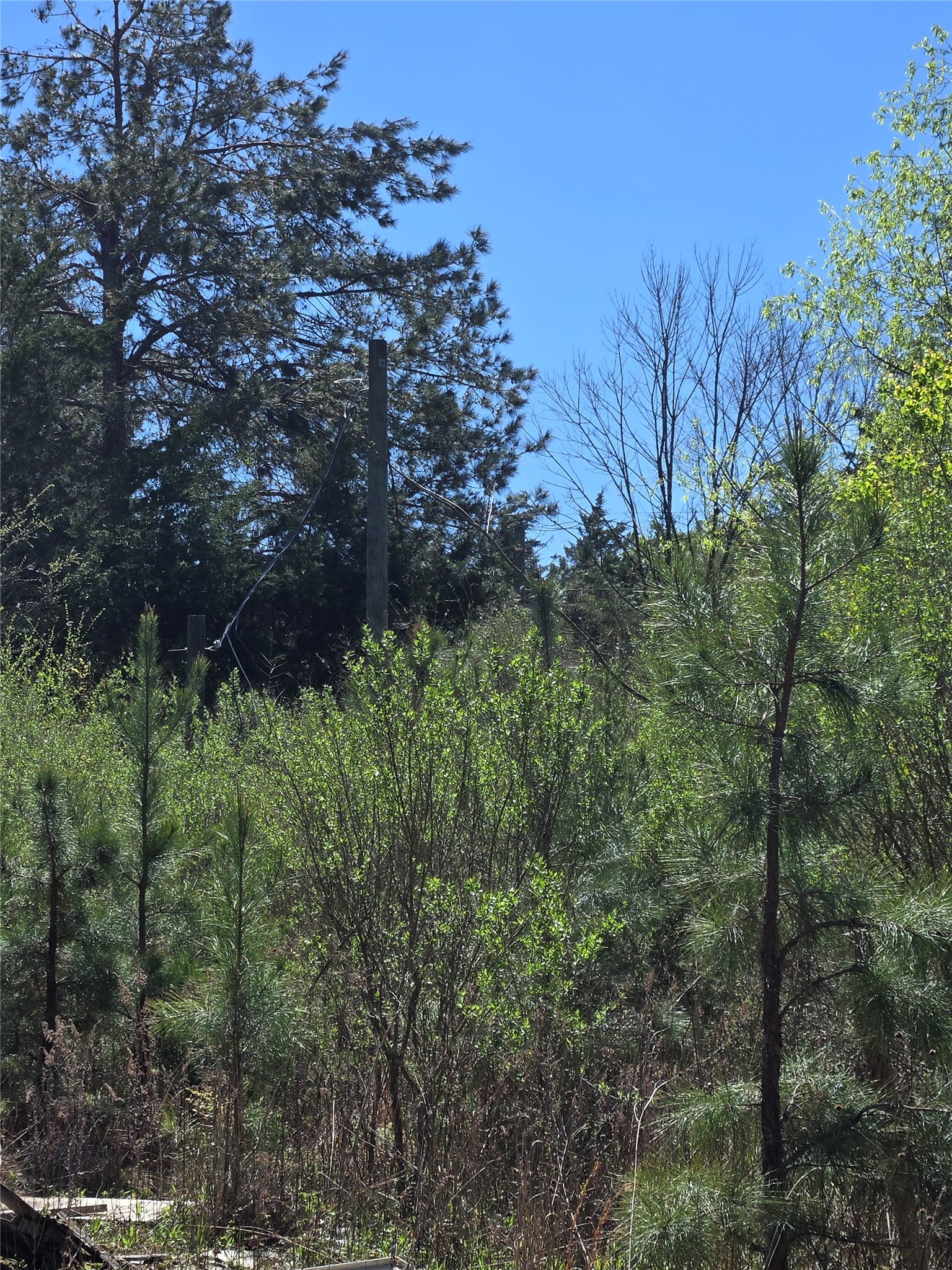 106 County Road 439 Joaquin TX 75954