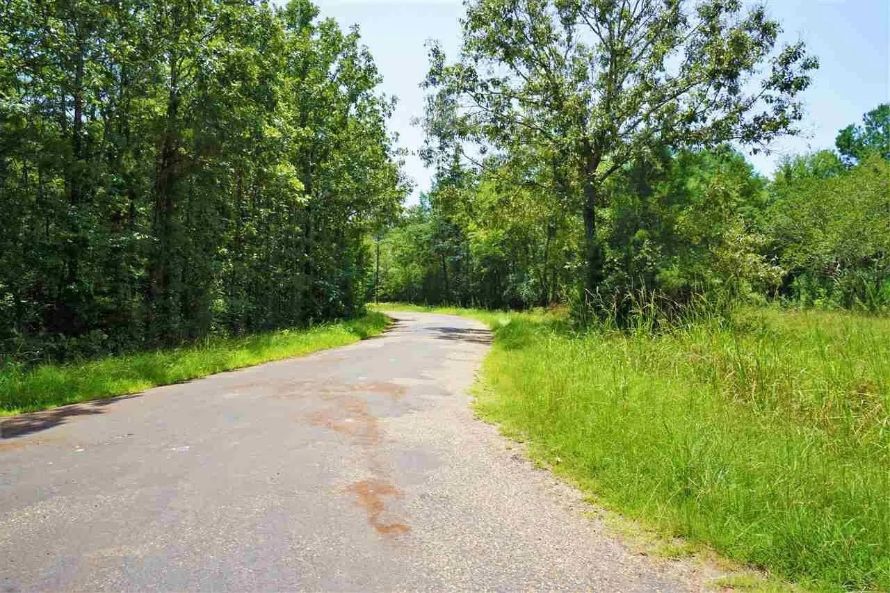 106 County Road 439 Joaquin TX 75954