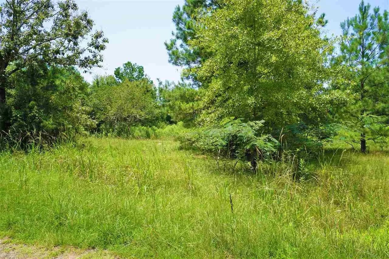 106 County Road 439 Joaquin TX 75954