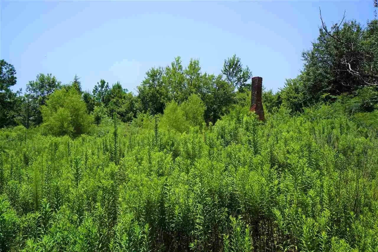 106 County Road 439 Joaquin TX 75954