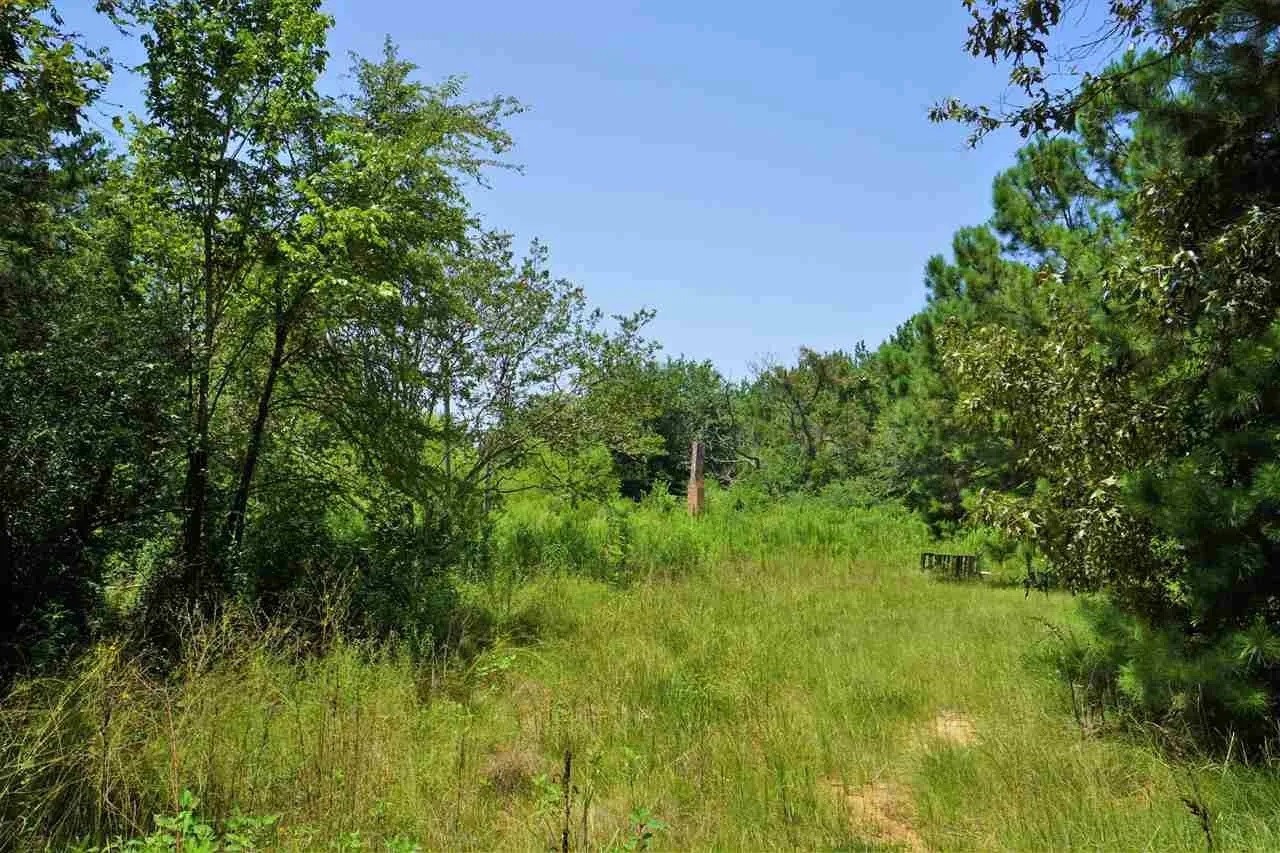 106 County Road 439 Joaquin TX 75954