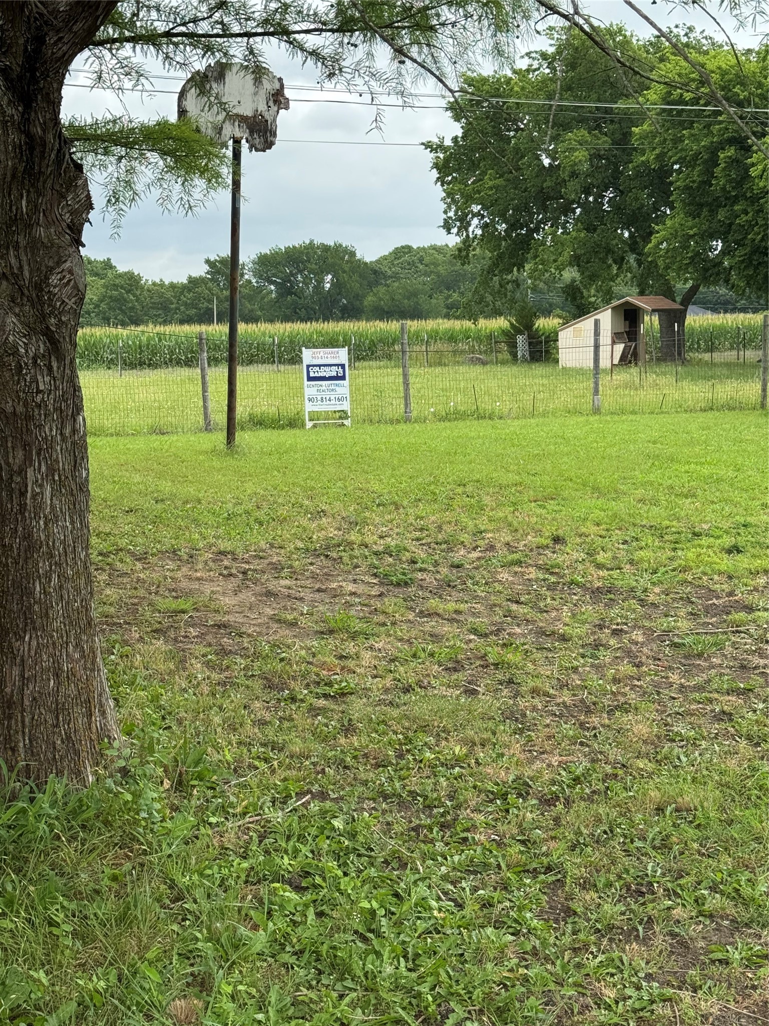 00 Elbert Road Van Alstyne TX 75495
