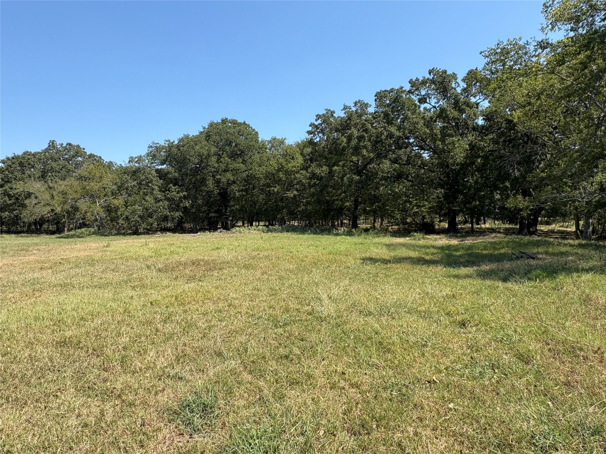 Tbd 1 County Road 1168 Brashear TX 75420