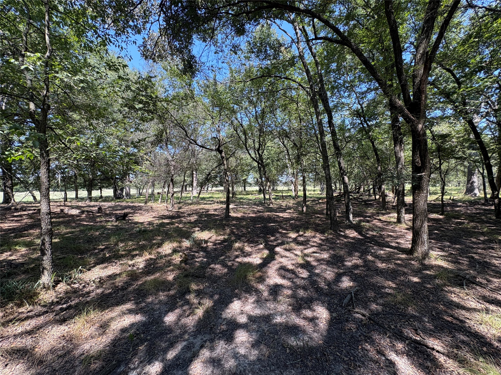 Tbd 1 County Road 1168 Brashear TX 75420