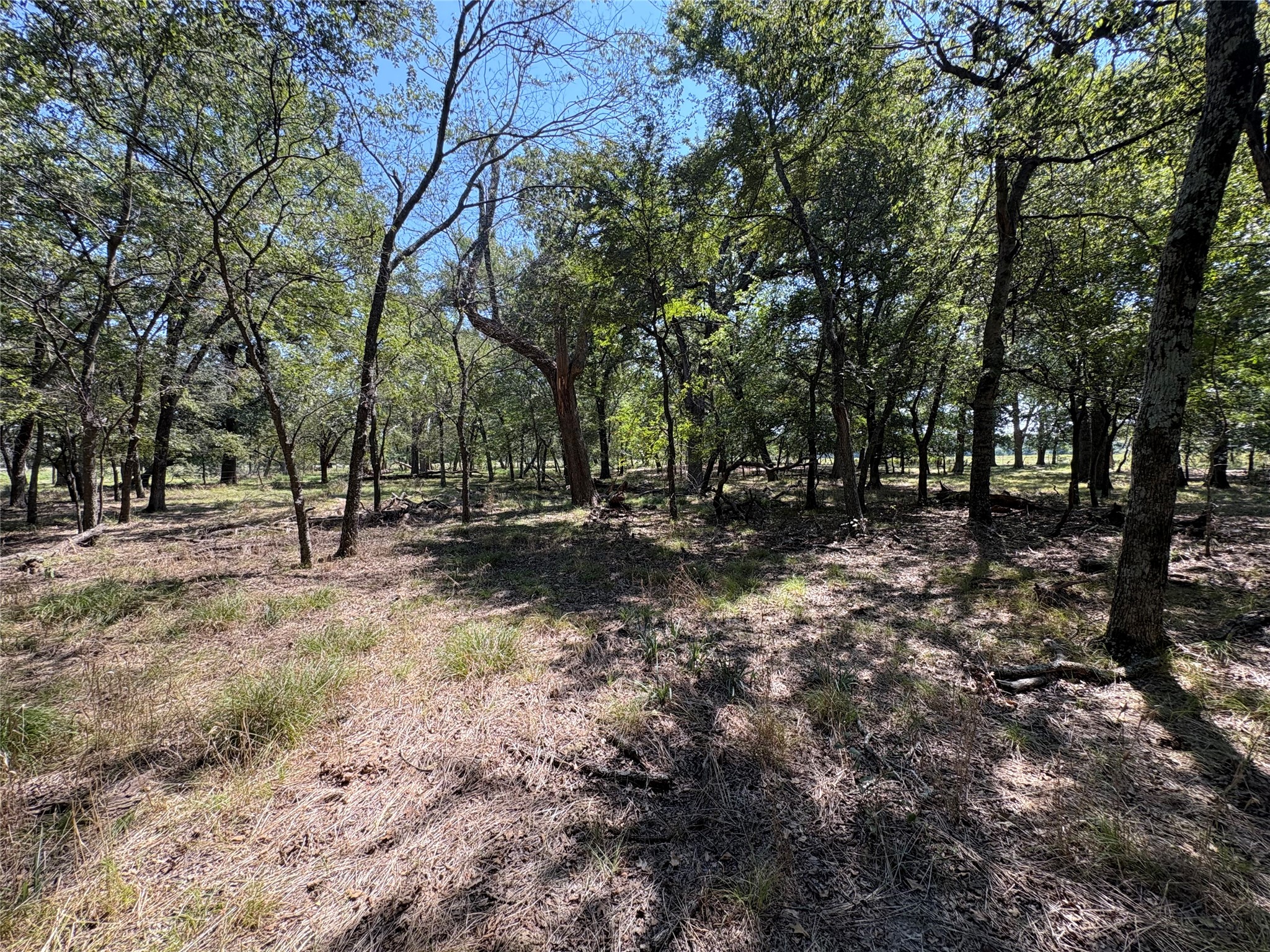 Tbd 1 County Road 1168 Brashear TX 75420
