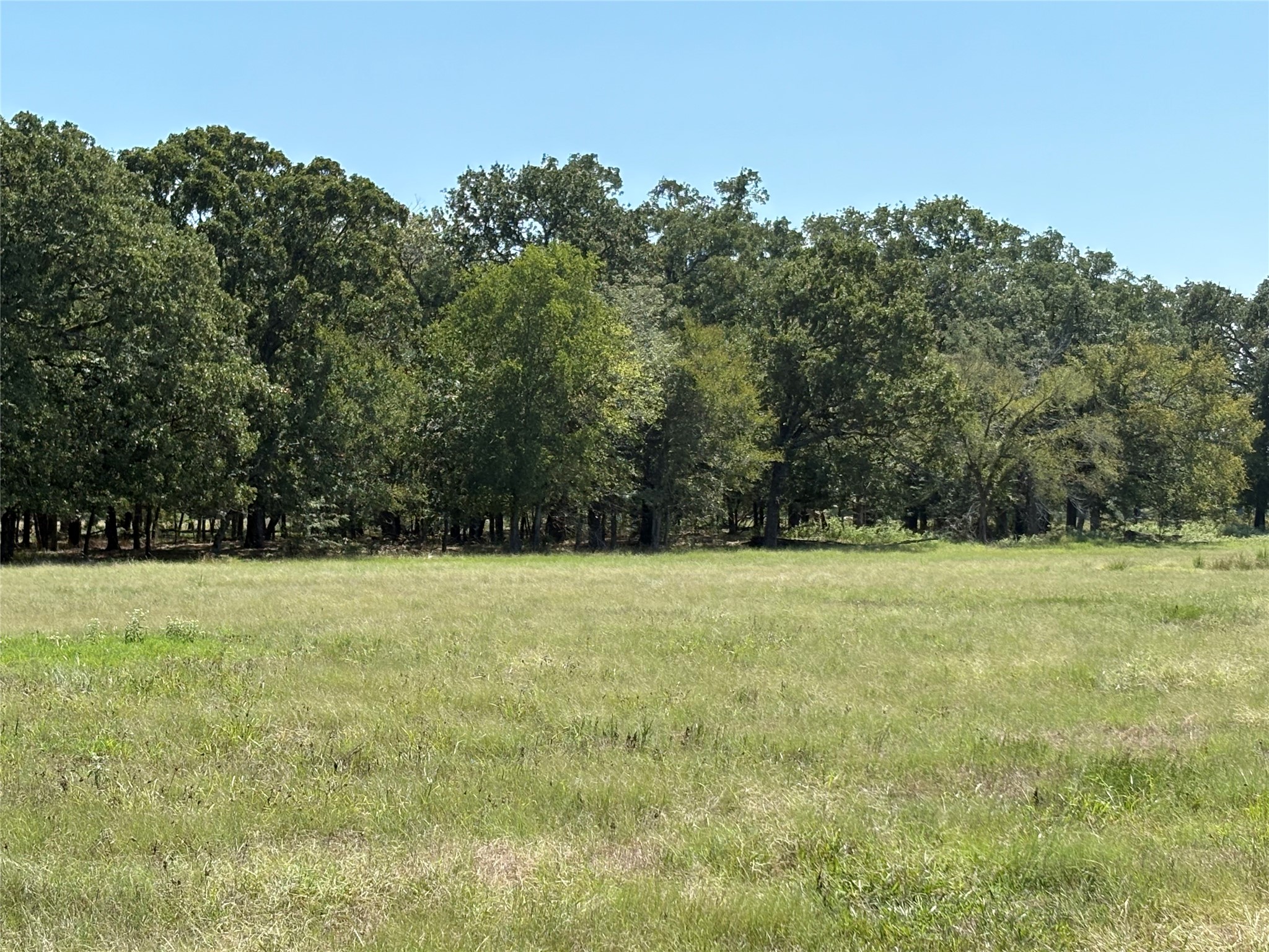 Tbd 1 County Road 1168 Brashear TX 75420