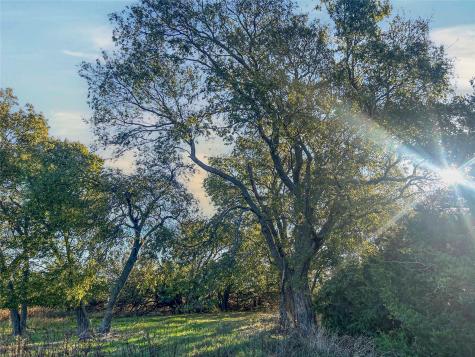 112 Hill Ranch Road Celeste TX 75423