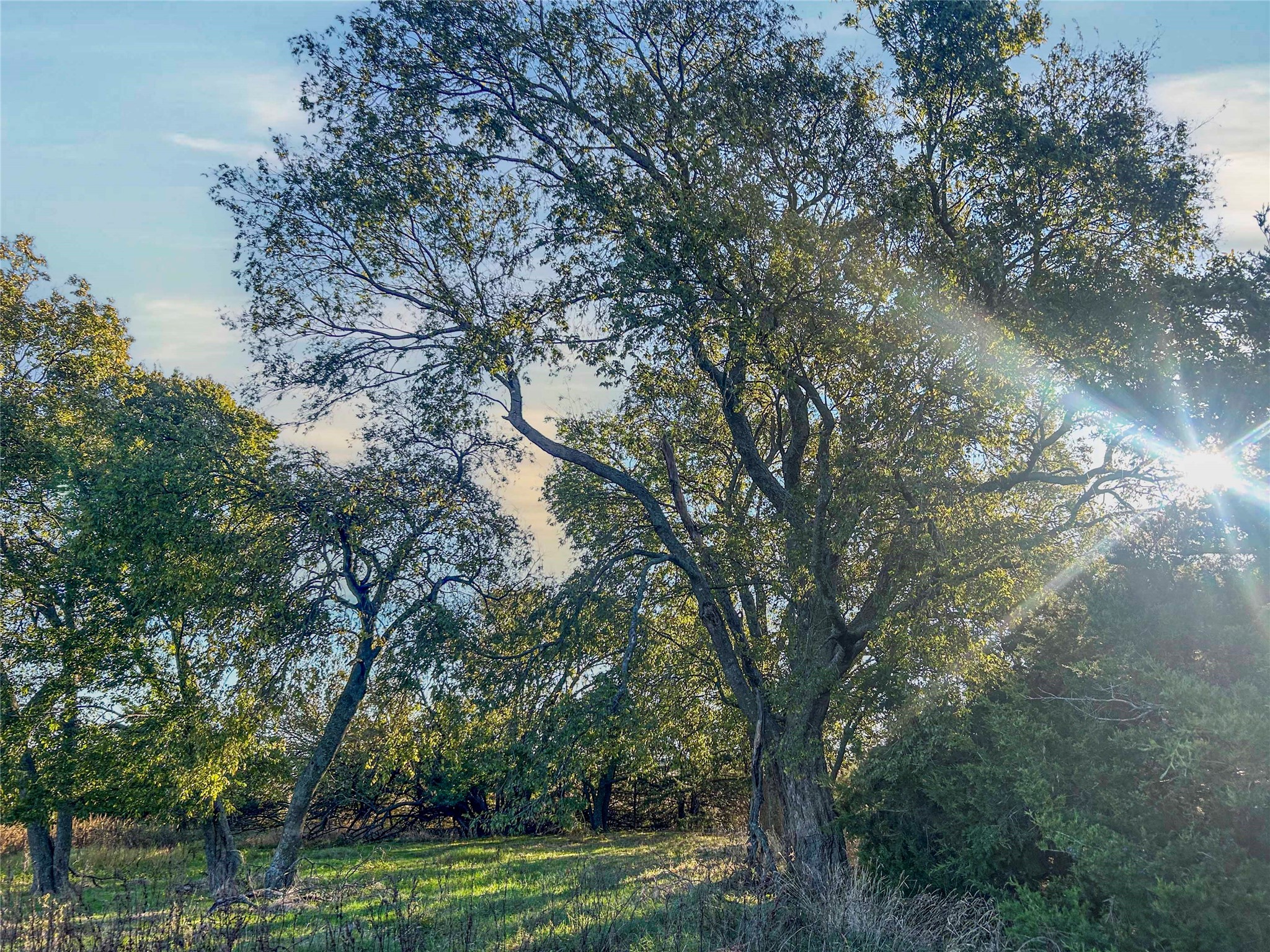 112 Hill Ranch Road Celeste TX 75423