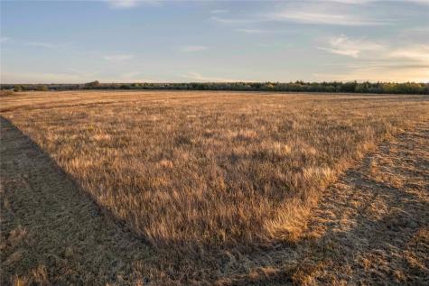 112 Hill Ranch Road Celeste TX 75423