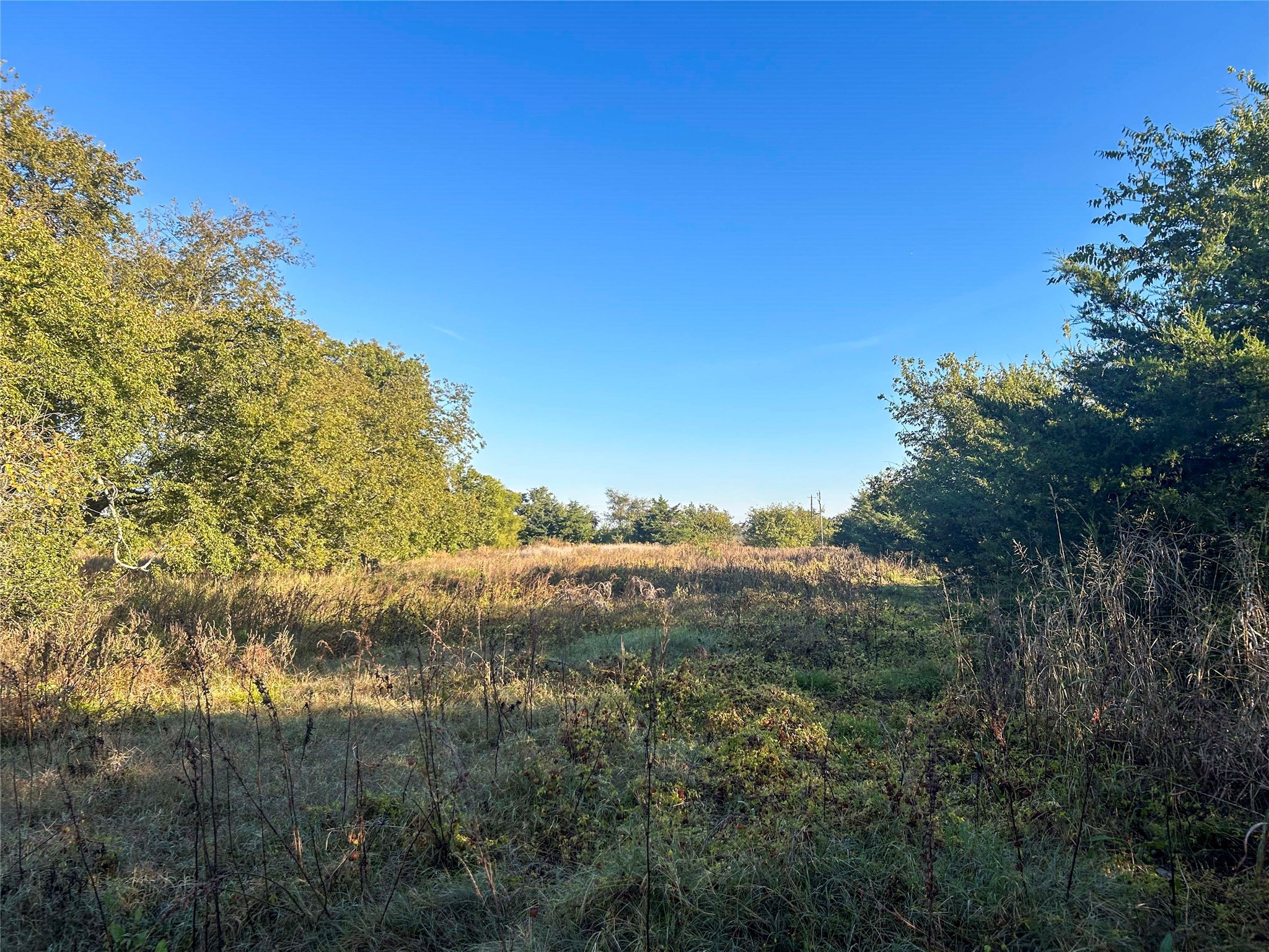 112 Hill Ranch Road Celeste TX 75423