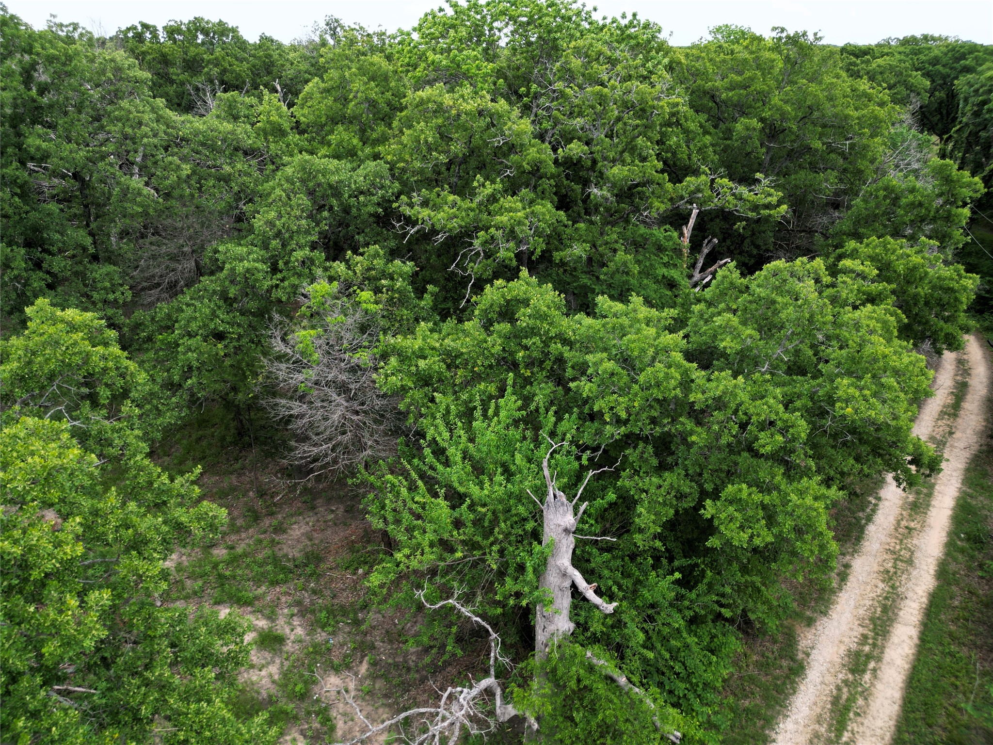26AC Rascoe Road Quinlan TX 75474