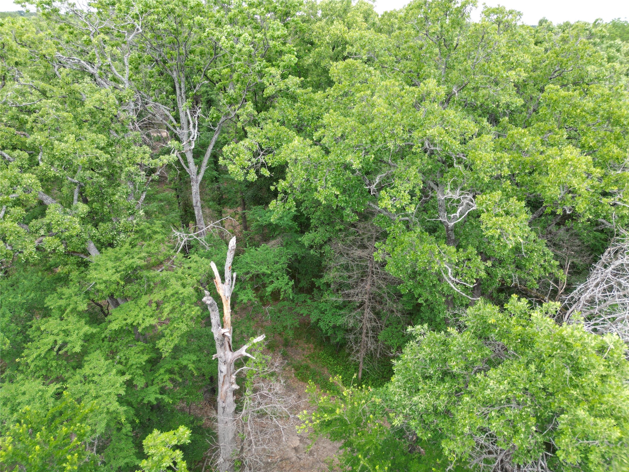 26AC Rascoe Road Quinlan TX 75474