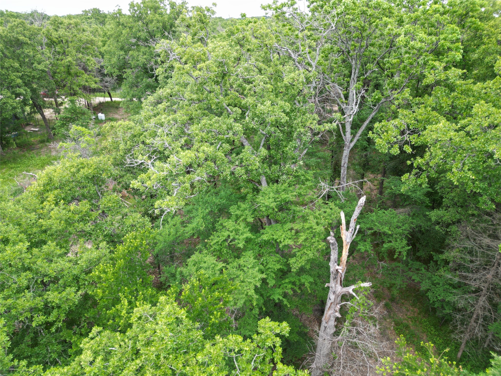 26AC Rascoe Road Quinlan TX 75474