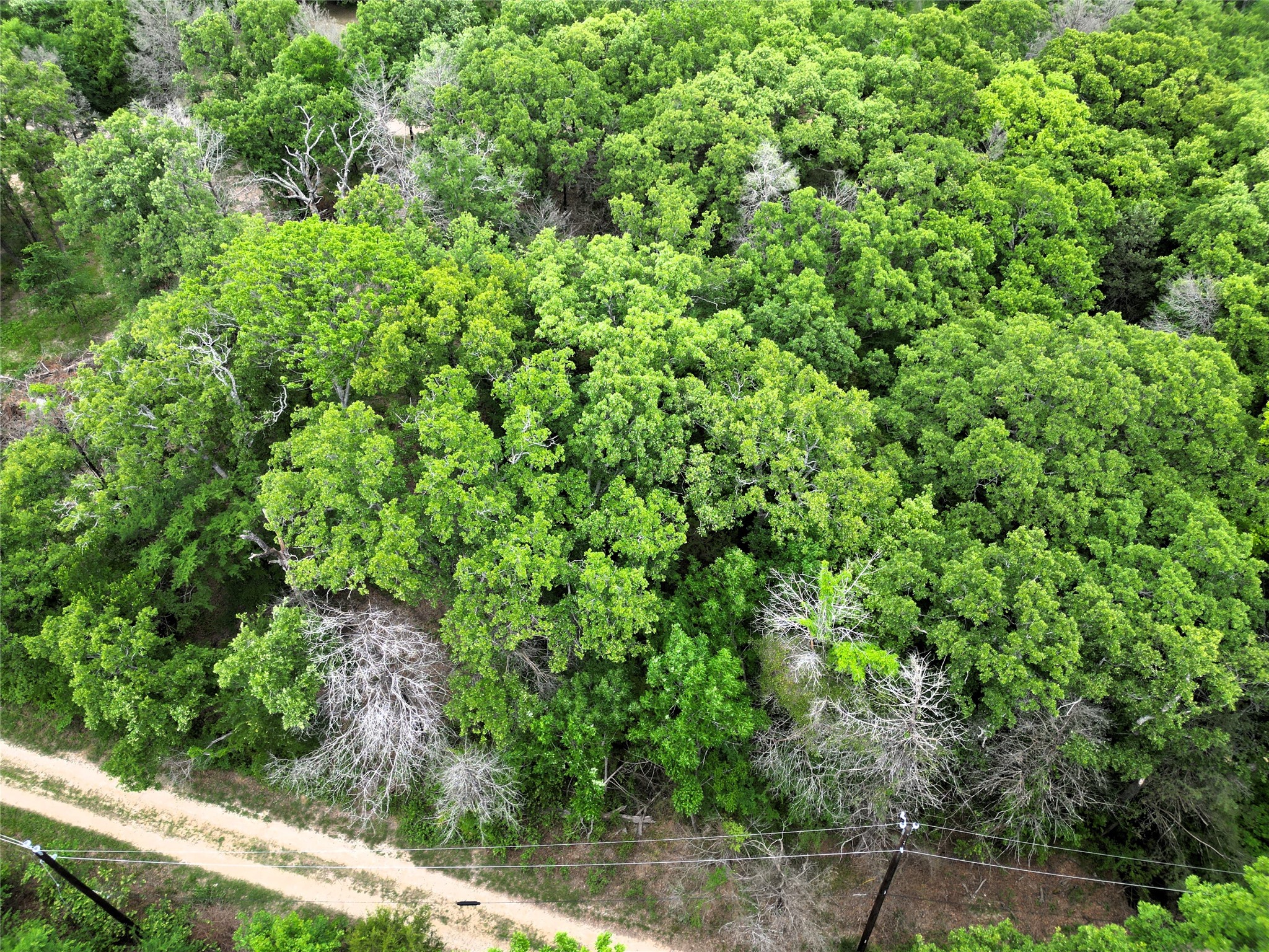 26AC Rascoe Road Quinlan TX 75474