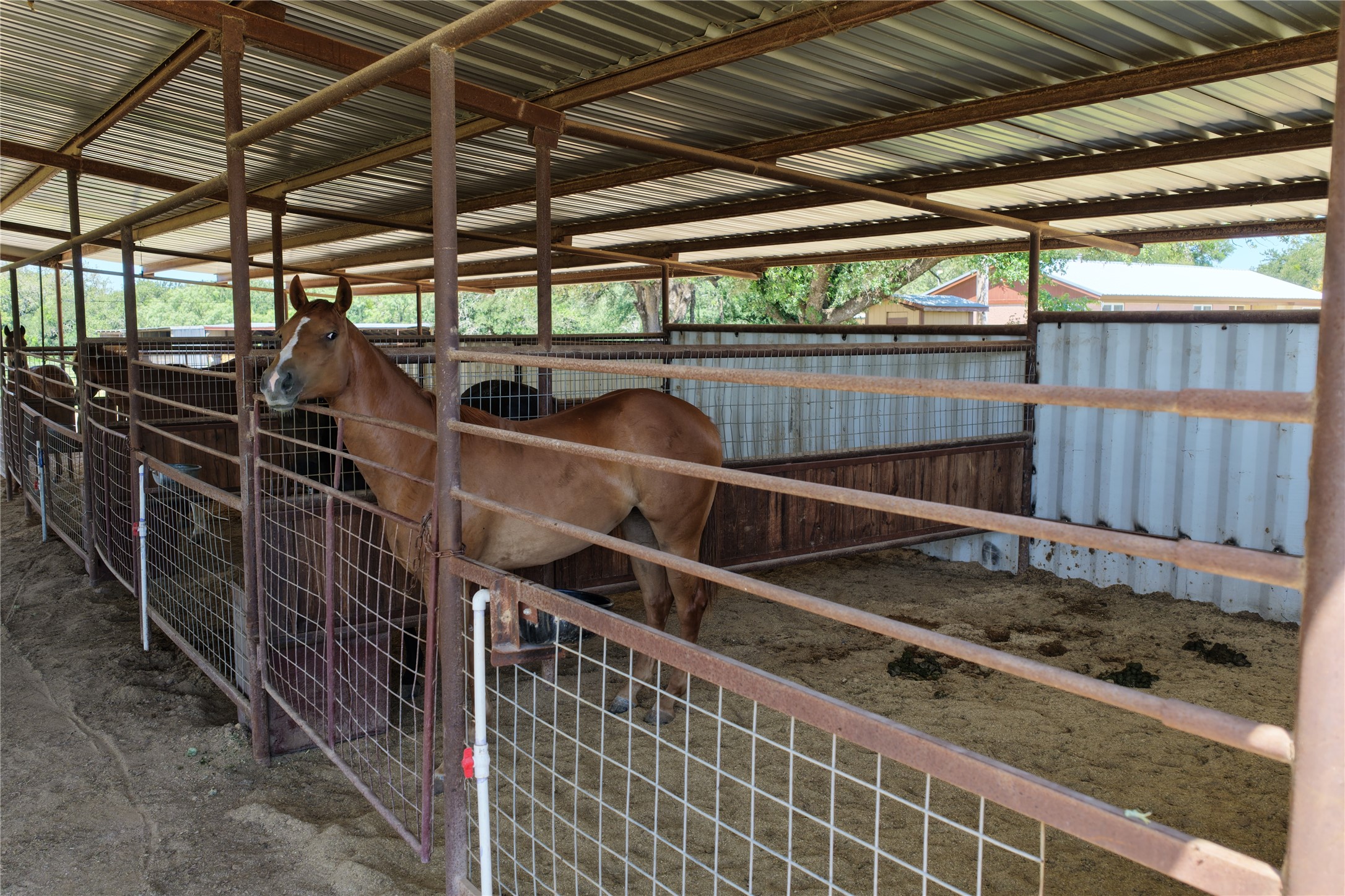3900 County Road 304 Comanche TX 76442