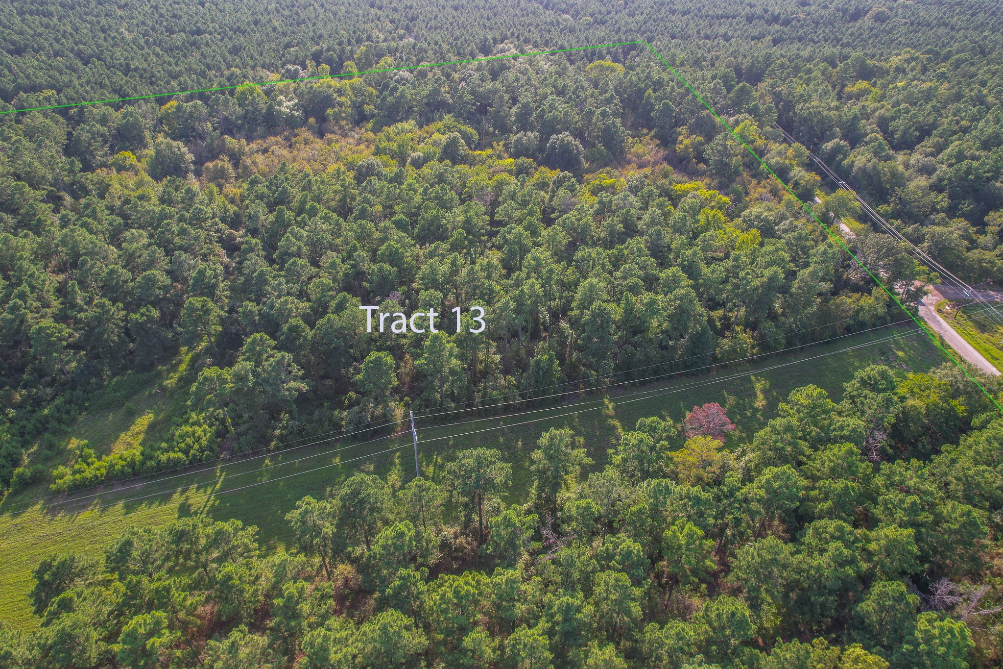 Tract 13 County Road 4224 Frankston TX 75763